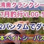 ★東京湾奥釣り【クランクシーバス・チニング】7月釣行編-5 ：クランクベイトでダツ！？【日本ベイトシーバスPJ】with 22バンタム&ラブラックスAGS77LMLB