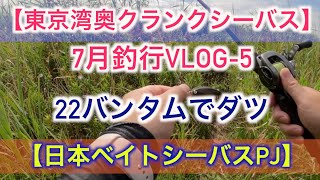 ★東京湾奥釣り【クランクシーバス・チニング】7月釣行編-5 ：クランクベイトでダツ！？【日本ベイトシーバスPJ】with 22バンタム&ラブラックスAGS77LMLB