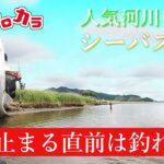 【人気河川中流域シーバス調査】#98 潮が止まる直前は釣れる？