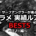 サーフアングラーが選ぶ　ヒラメ実績ルアー BEST5 ～ミノー編～