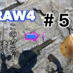 【Draw4】全国各地で釣れまくっているカラーがやっぱり凄かった！