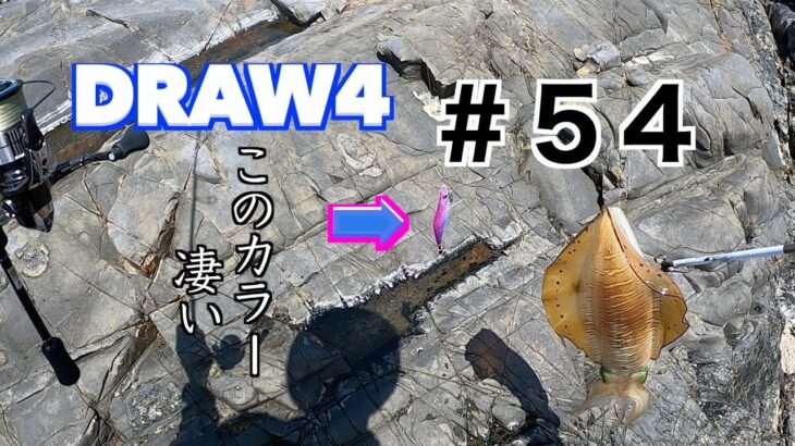 【Draw4】全国各地で釣れまくっているカラーがやっぱり凄かった！