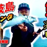 初夏のアジング＆エギング【壱岐島FISHINGの夜明け】