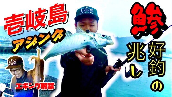 初夏のアジング＆エギング【壱岐島FISHINGの夜明け】