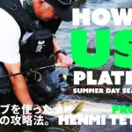 HOW TO USE PLATE VIB SUMMER DAY SEABASS GAME | 鉄板バイブを使った夏のデイの攻略法。