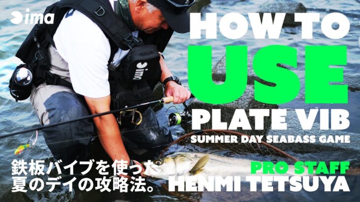 HOW TO USE PLATE VIB SUMMER DAY SEABASS GAME | 鉄板バイブを使った夏のデイの攻略法。