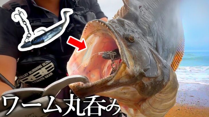 【サーフヒラメ】ワーム丸呑みっ…！！鮃も鱸も鰤も釣れる万能ワームを投げると…【フラッシュJ＋Zシステム】