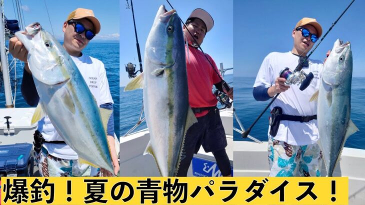 釣れすぎ！夏の青物ジギング！こういう系のジグはブリ系に強い！Jigging