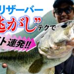 【バス釣り】表層の逃がしテクでバイト連発！七色ダム/加木屋守/ロングM/デンプシージャック