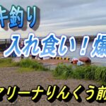 入れ食い　爆釣　常滑　NTPマリーナりんくう前にてサビキ釣り　＃常滑　＃サビキ釣り　＃爆釣＃りんくう