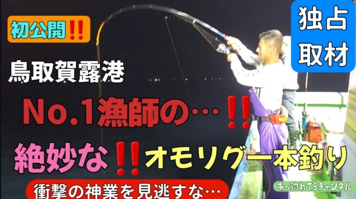 No.1漁師の…‼️【オモリグ】イカ一本釣り【妙技】を…‼️独占取材に成功…‼️前編…次回後編有ります。【永久保存版】【衝撃】【神技】【見逃し厳禁】【イカメタル】【勇心丸】【鳥取賀露港】