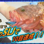 【玄界灘・SLJ】青物、根魚、イサキにヒラメ、なんでもござれのスーパーライトジギング　釣りビジョン/ソルトギャラリー