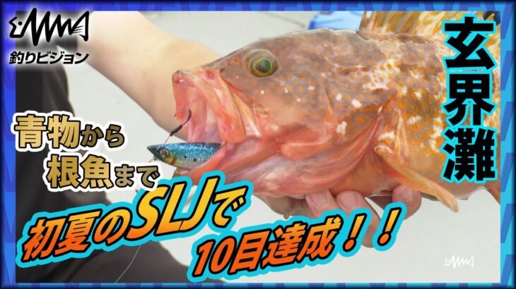 【玄界灘・SLJ】青物、根魚、イサキにヒラメ、なんでもござれのスーパーライトジギング　釣りビジョン/ソルトギャラリー