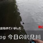 シーバス釣りVlog 今日の鶴見川 2023年7月1日（ホゲ）雨で白濁りが出始めてます