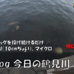 シーバス釣りVlog 今日の鶴見川 2023年7月28日（ホゲ）今日もメガドッグを投げ続ける