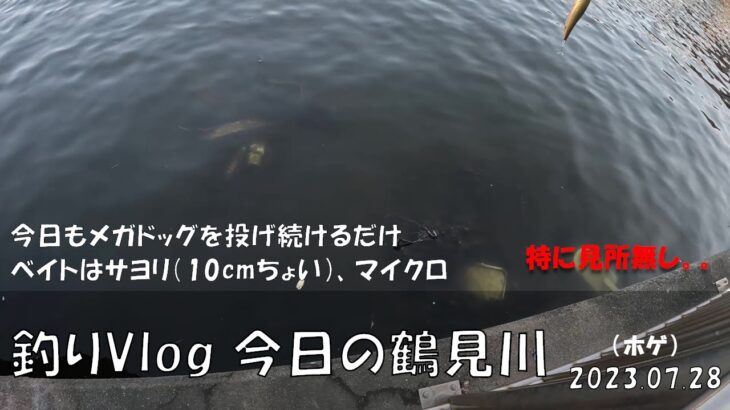 シーバス釣りVlog 今日の鶴見川 2023年7月28日（ホゲ）今日もメガドッグを投げ続ける