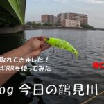 シーバス釣りVlog 今日の鶴見川 2023年7月4日（ホゲ）ネコソギRRを使ってみた