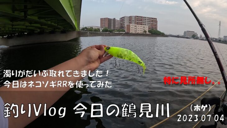 シーバス釣りVlog 今日の鶴見川 2023年7月4日（ホゲ）ネコソギRRを使ってみた