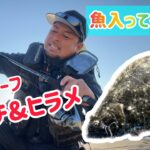 着水後に即ヒット‼️まさか◯◯◯が釣れるなんてW