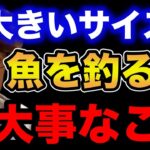 【村岡昌憲】大きいサイズの魚を釣る時に超大事なこと話します。【fishing 釣り 村岡昌憲 切り抜き ルアー釣り シーバス ノット リール】