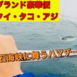 【オフショアジギング】明石海峡を舞う青物…？！ 明石の青物・タコ・真鯛・アジを堪能する豪華便 #fishing #青物