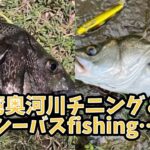 東京湾奥河川チニングgame＆リバーシーバスgame #釣り #fishing #シーバス #清流シーバス #リバーシーバス #クロダイ #チニング #東京湾奥河川#荒川#旧江戸川