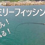 堤防釣り　簡単仕掛けで簡単に魚が釣れるのがコレ　in和歌山