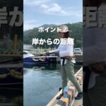 サビキ釣り釣れない時はこれやってみて🐟#shorts #質問コーナー