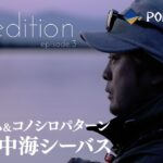 【初夏のコノシロパターン】 メガバンクで中海ランカーシーバスをキャッチ！［the expedition ep.3 in Nakaumi］