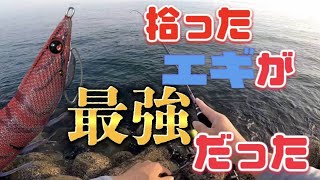 【エギング】夏アオリイカ開幕！！拾ったエギ投げてみたら凄かった!