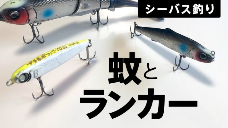 【シーバス釣り】疑惑のランカーと蚊の話だよぉ🥺