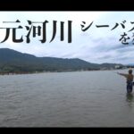 地元河川で今年初のリバーシーバスを狙う。編【ベイトシーバス】