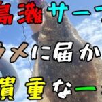 鹿島灘サーフ　ヒラメに届かなくとも貴重な一枚！