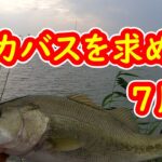 【淀川バス釣り】本流のデカバスを求めて・・・