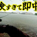 ゲリラ豪雨の直後は爆釣するって本当？【ベイトシーバス】