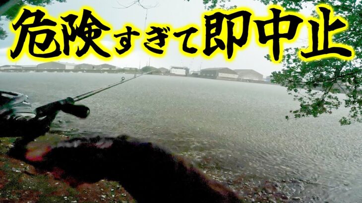 ゲリラ豪雨の直後は爆釣するって本当？【ベイトシーバス】