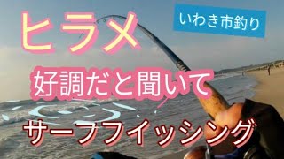 ヒラメ調子良くなってきたの？サーフで釣り