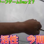 ２０２３サーフゲームＤＡＹ２７　～　ヒラメジャー杯　三日目　今シーズンいちばんの魚っけも２バラシ　～