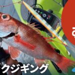 アカムツジギング中深海スロージギング！夏シーズンのカヤックフィッシング