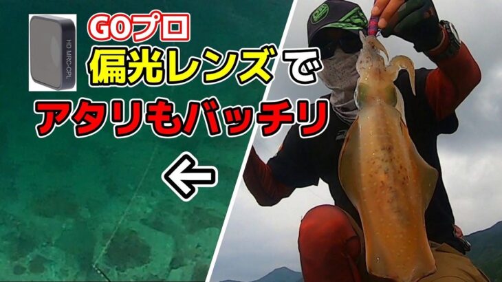 【エギング】イカもアタリもハッキリ撮れて、海の中まで丸見え!!