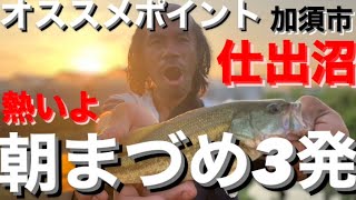 【埼玉バス釣りポイント】フロリダのいる池！仕出沼でバス釣り！【オススメポイント】