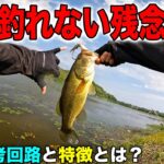 バス釣りで「釣れない原因」が完全に分かりました