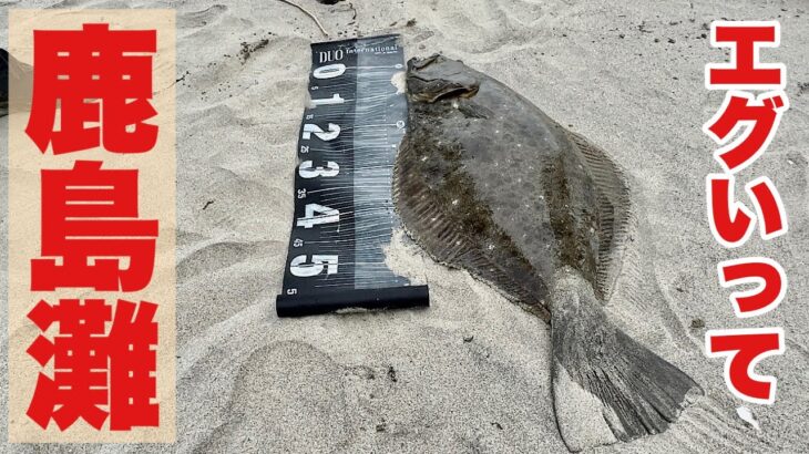 【サーフヒラメ】鹿島灘バグってます