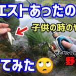 【バス釣り】池で出会った少年にオルカイザー投げて❗と言われたので投げてみたグランダー武蔵をリアルタイムで視てた当時の少年🙄子供の時に沢山バス釣ったやつ使用❗あとはプレゼントされたルアー縛りで野池調査❗