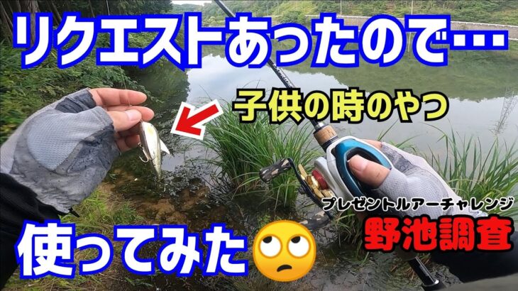 【バス釣り】池で出会った少年にオルカイザー投げて❗と言われたので投げてみたグランダー武蔵をリアルタイムで視てた当時の少年🙄子供の時に沢山バス釣ったやつ使用❗あとはプレゼントされたルアー縛りで野池調査❗