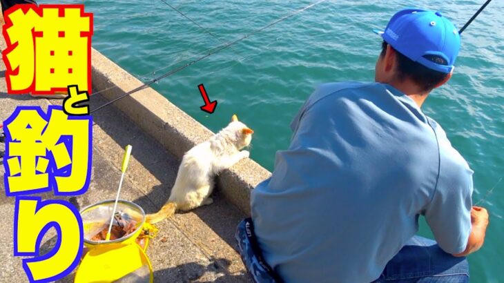 釣果を期待し過ぎている猫がかわい過ぎた！！