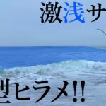 【ヒラメ釣り】こんな所にっ…！？ 鮃が潜む浅いサーフを見つけました【ミノー】