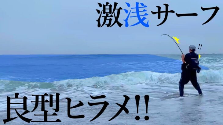 【ヒラメ釣り】こんな所にっ…！？ 鮃が潜む浅いサーフを見つけました【ミノー】