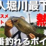 【埼玉バス釣りポイント】激熱！隼人堀川下流でモンスターを狙え！【スモールマウスバス】