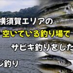 【釣り】東京湾の空いている釣り場でサビキ釣りしたら!?ロマンがあるアジ探し！